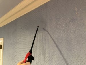 stripping wallpaper