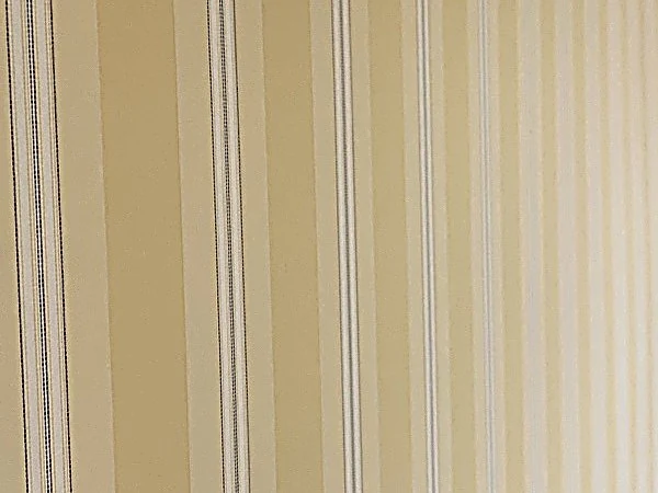 Close detail of Thibaut Kensington Stripe wallcovering, alternating cream and pale yellow bands separated by fine pinstripes.